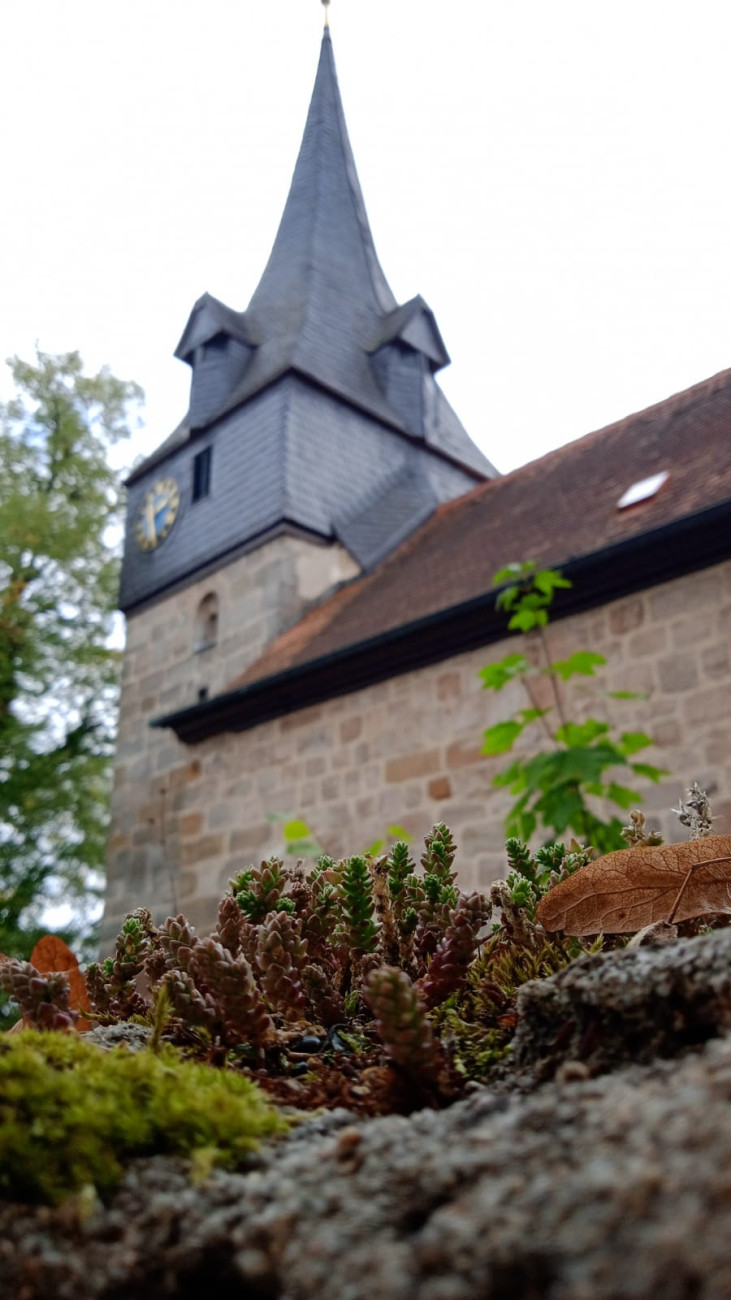 Kirchengemeinde Willmersreuth Evang. Luth. Kirchengemeinden